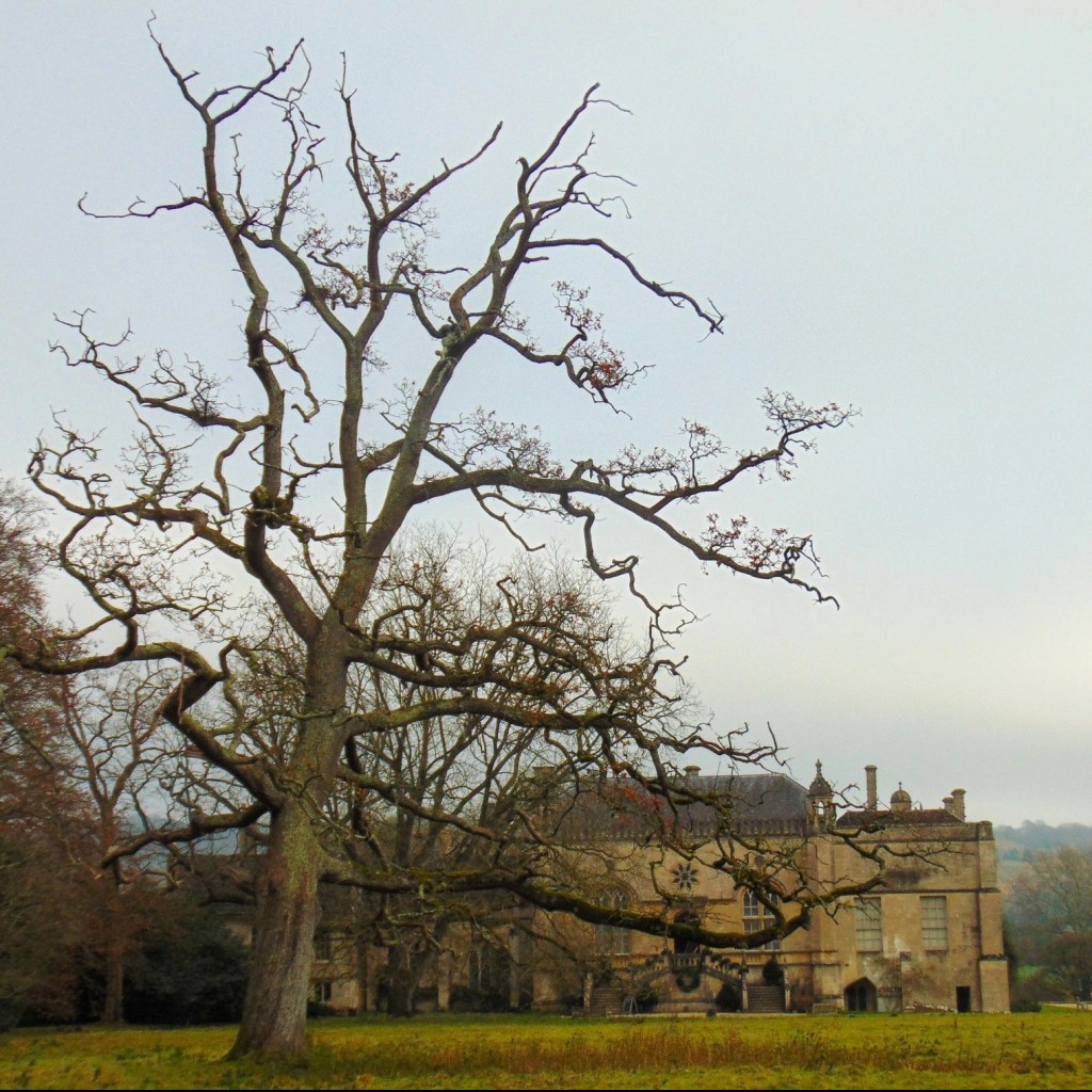 Lacock Abbey Gardens