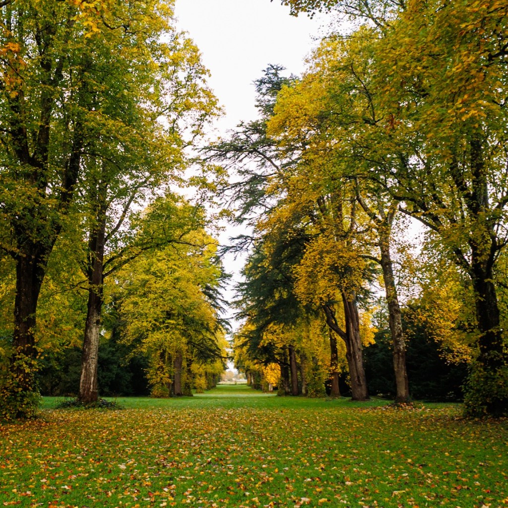 Westonbirt in Autumn